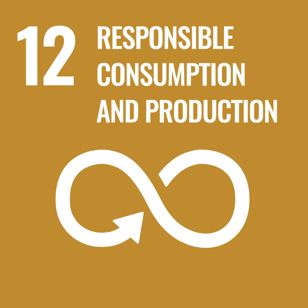 Goal 12: Responsible consumption and production - United Nations ...